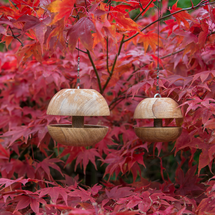 Oak Applecore Birdfeeder set of 2 - Small & Medium