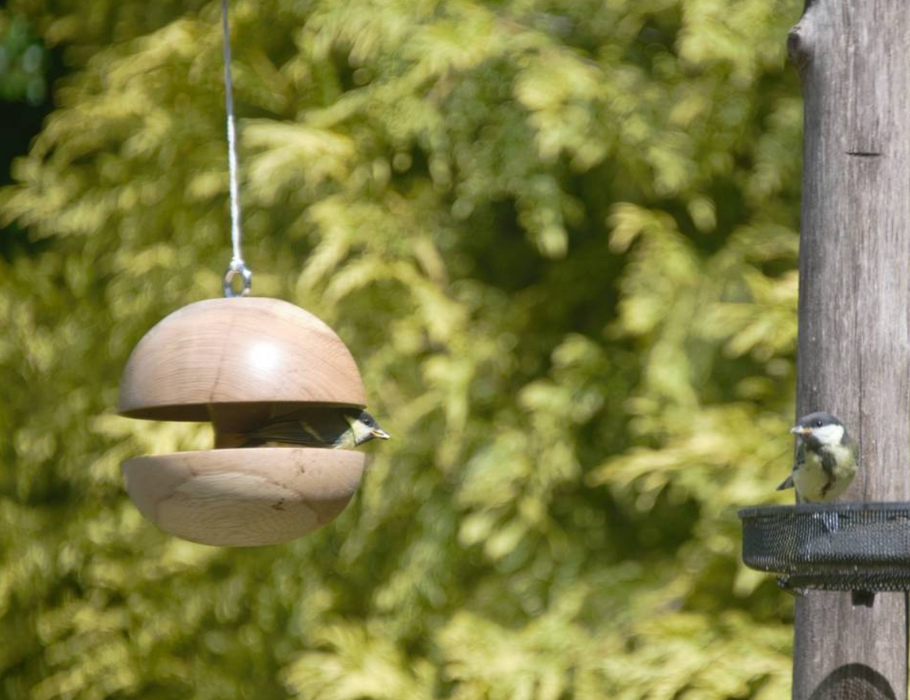Oak 'Applecore' Bird Feeder