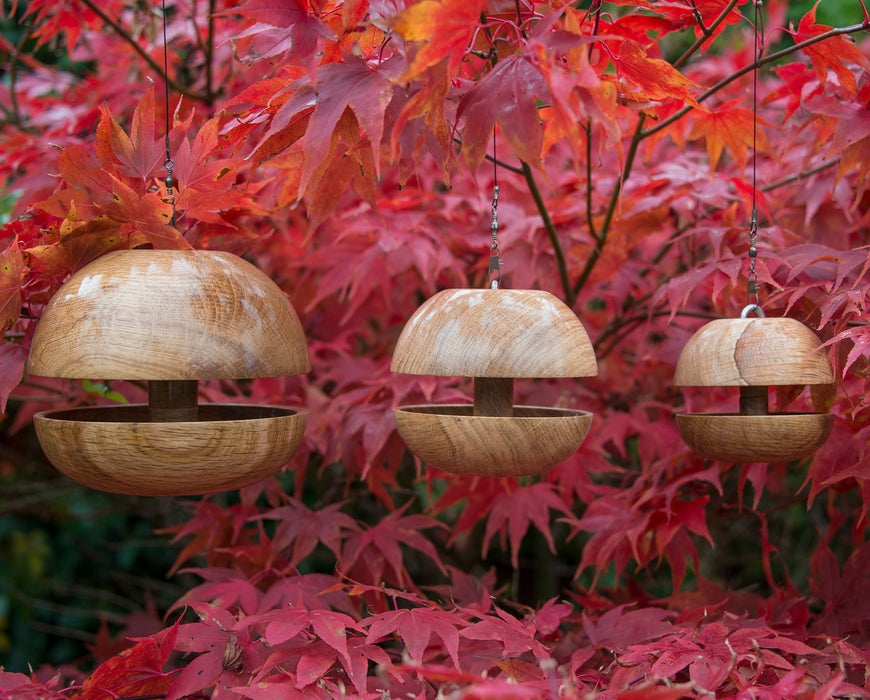 Oak 'Applecore' Bird Feeder
