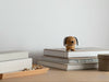 Small wooden dog figurine on a stack of books with a plain background