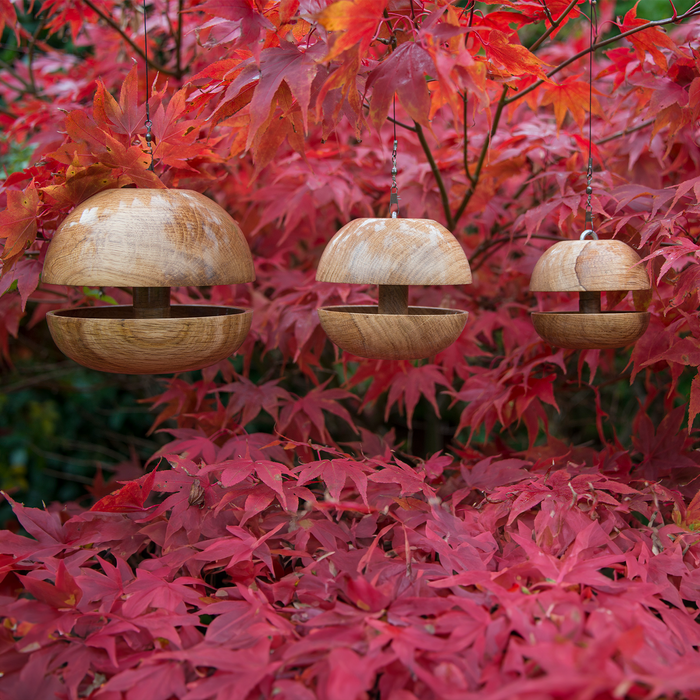 Oak Applecore Birdfeeder set of 3