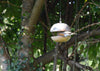 Oak 'Applecore' Bird Feeder